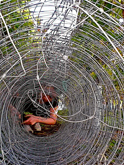 "BARBED WIRED BRAINS" "STACHELDRAHTGEHIRNE" or "BIONIC AND THE DOG GOD WIRES"
