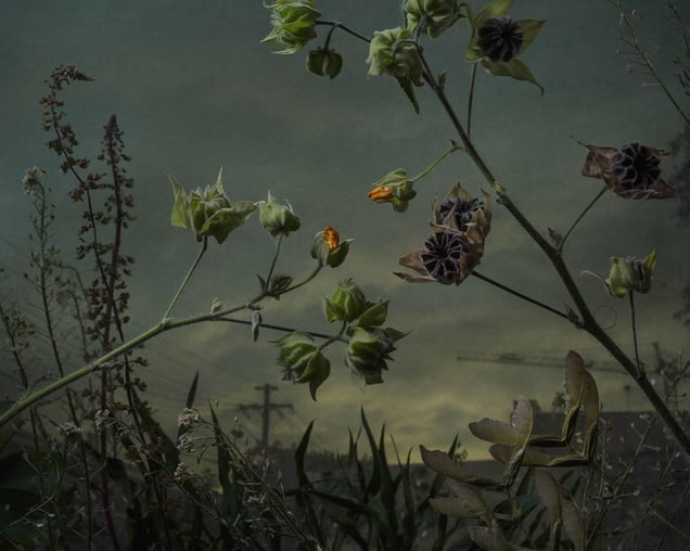 Rezoned Industrial Division