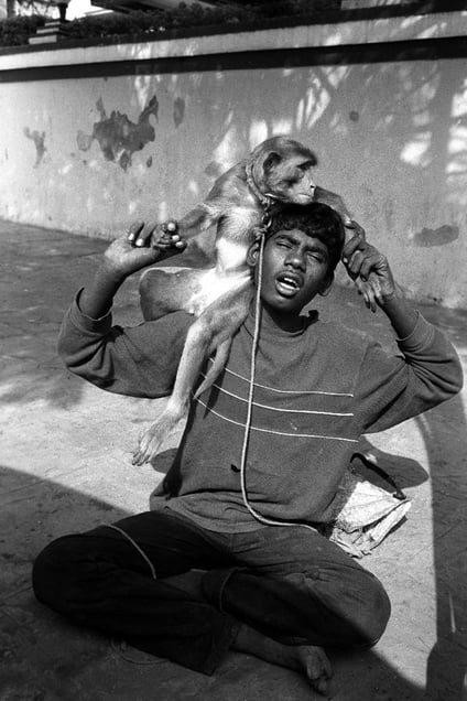 India © 2014, tephen Shames