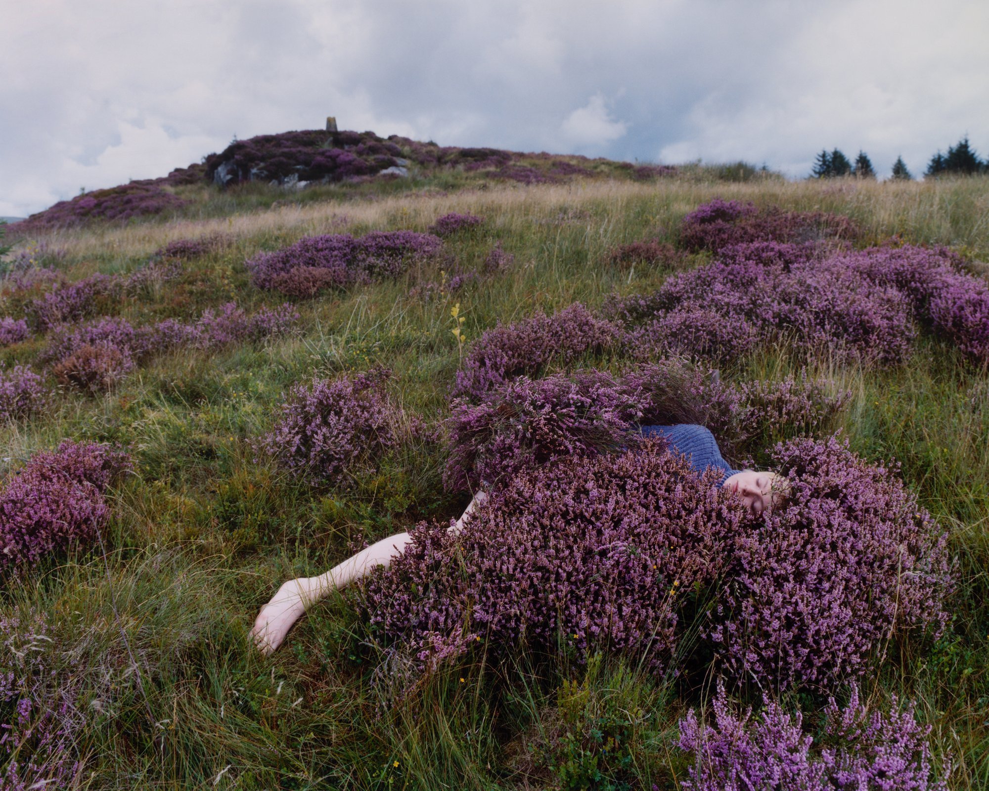 Charly on the moor. © Camille Lemoine