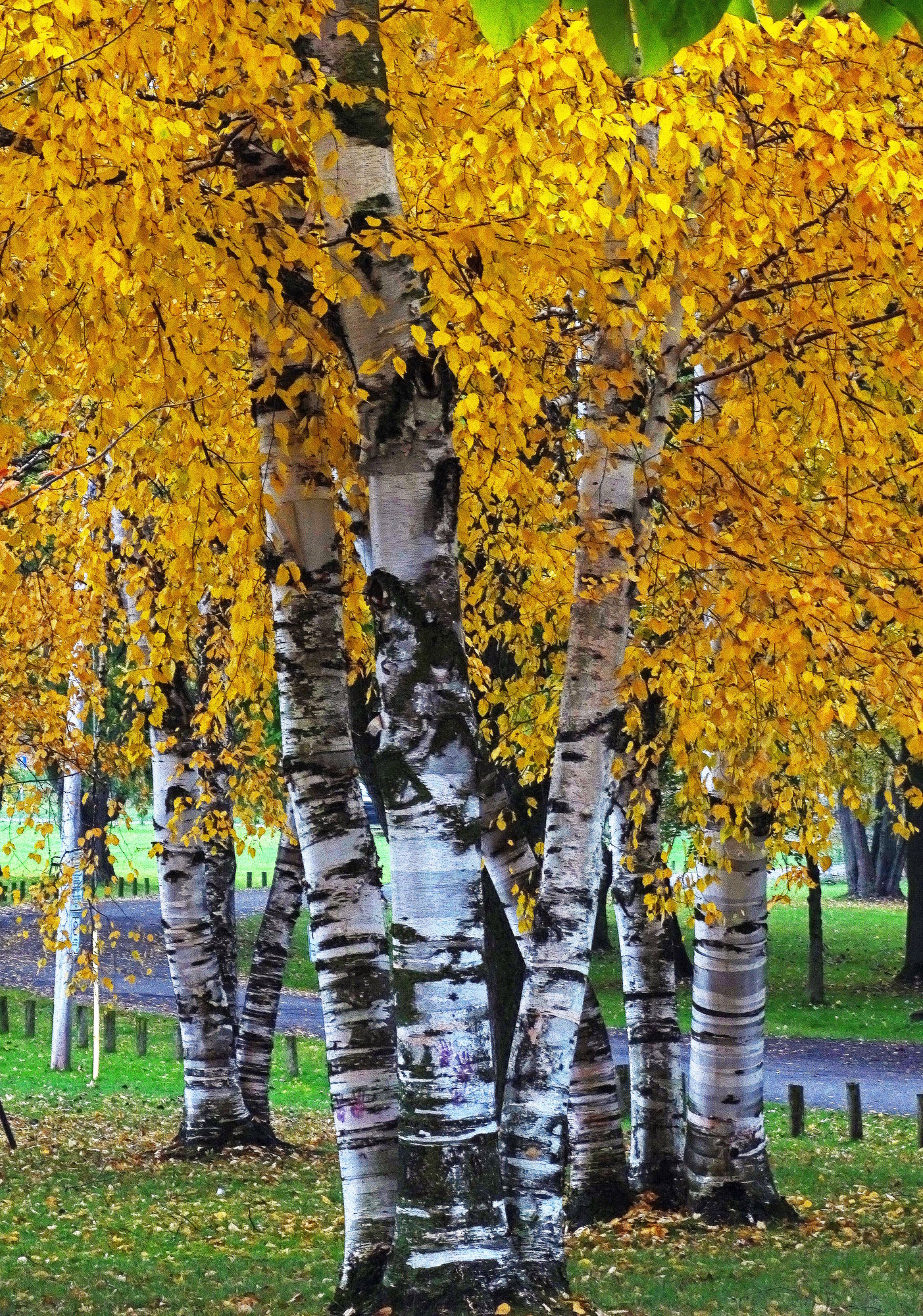Golden October
