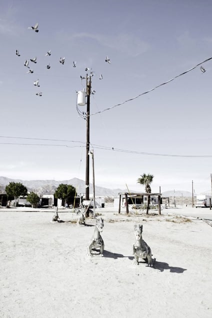 Salton Sea Beach dinosaurs sculptures.