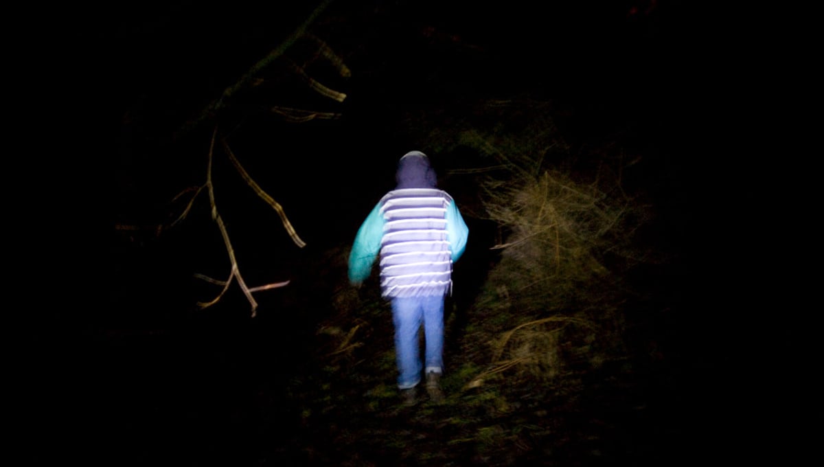 Night walk in the forest