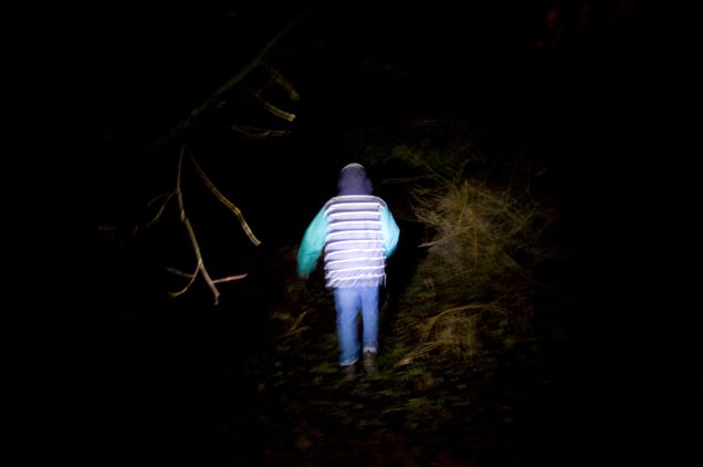 Night walk in the forest