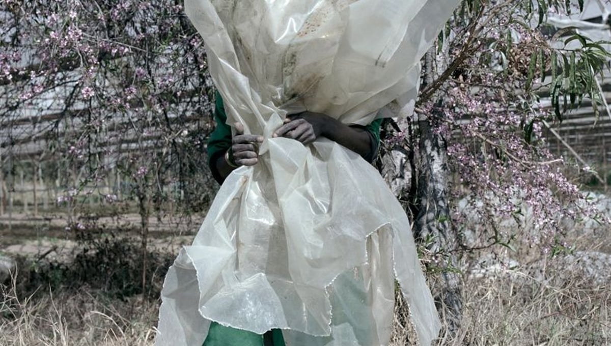 From the series "TERRAIN" © Jackie Nickerson