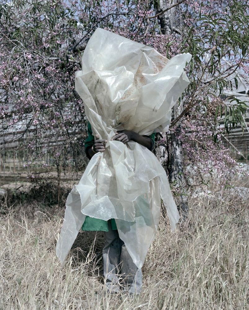 市場価格高騰中　THE FARM / JACKIE NICKERSON 写真集 市場価格高騰中 THE FARM / JACKIE NICKERSON 写真集 市場価格