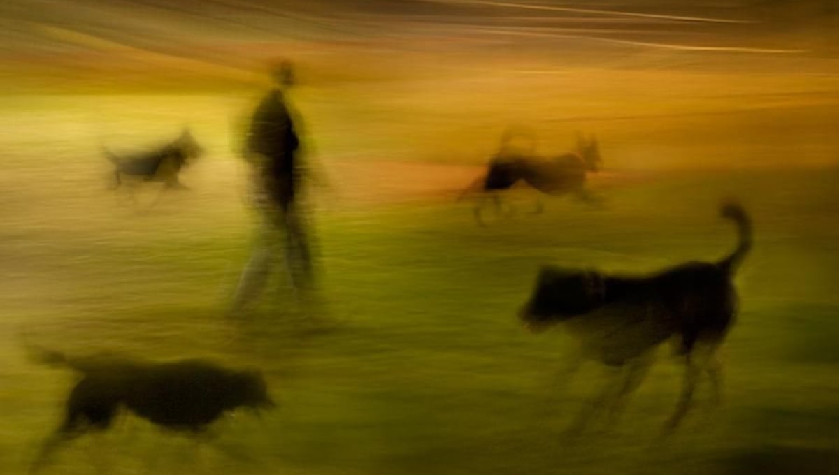 Night Park - 10 © Susan Bein