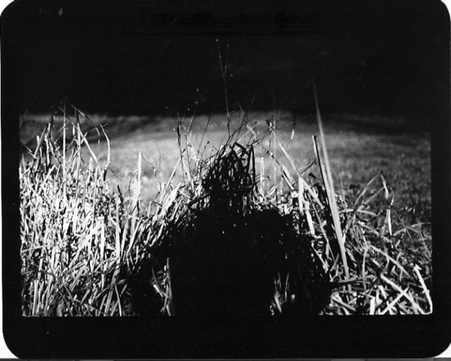 "Untitled" (Shadow #05), 2011