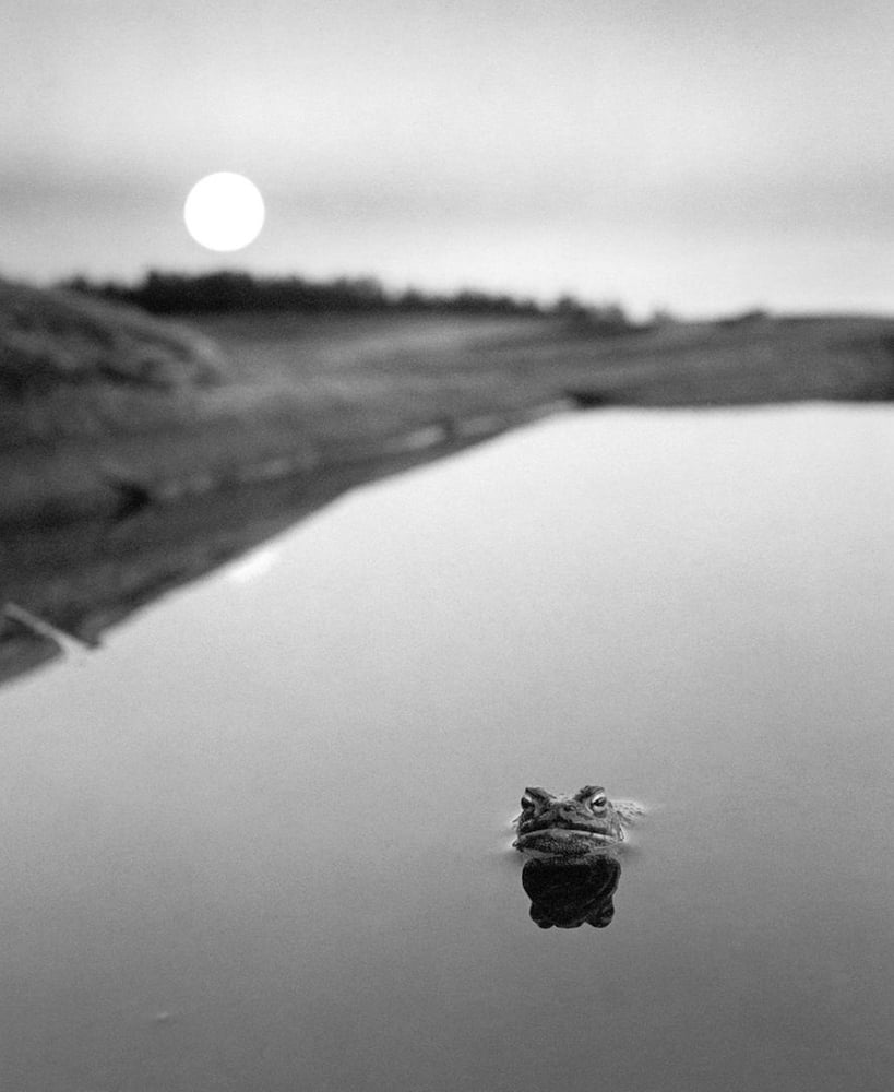 Here Far Away - Photographs by Pentti Sammallahti | LensCulture