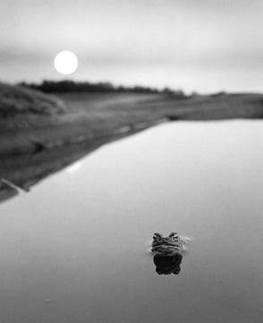 Here Far Away - Photographs by Pentti Sammallahti | LensCulture