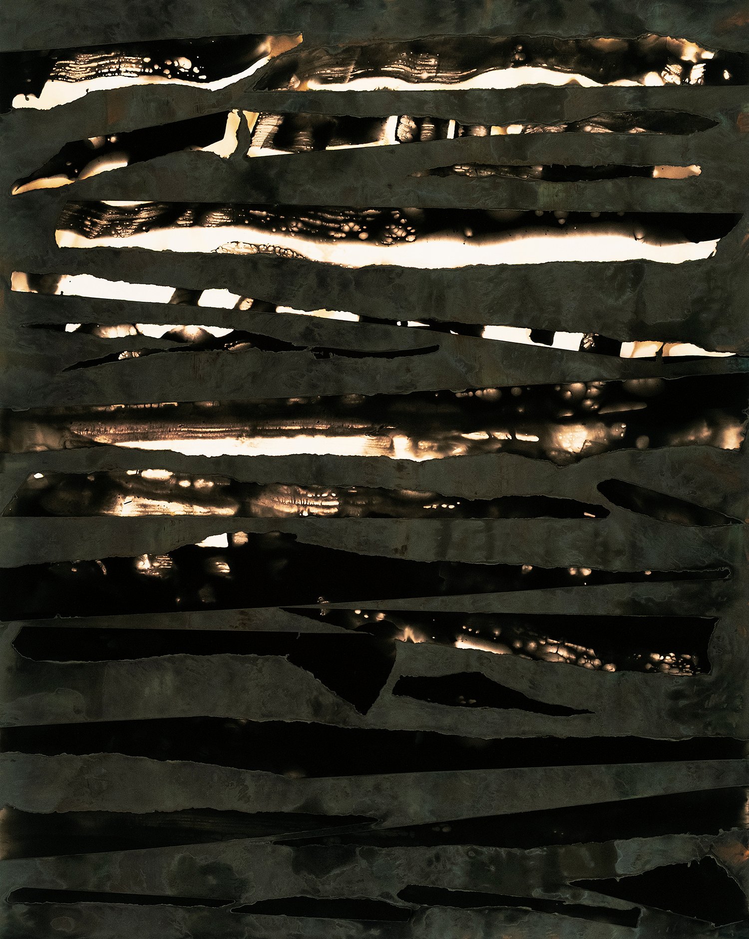 The Collective Darkness, 2025, Chromo Gelatin Silver Print, 1/1 Unique Hand-manipulated Print, from the series "They Tried To Bury Us But They Forgot We Are Seeds" © Frank Lopez