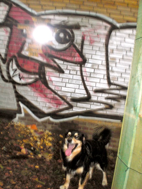 "WUFF WEI" "WOOF WEI"