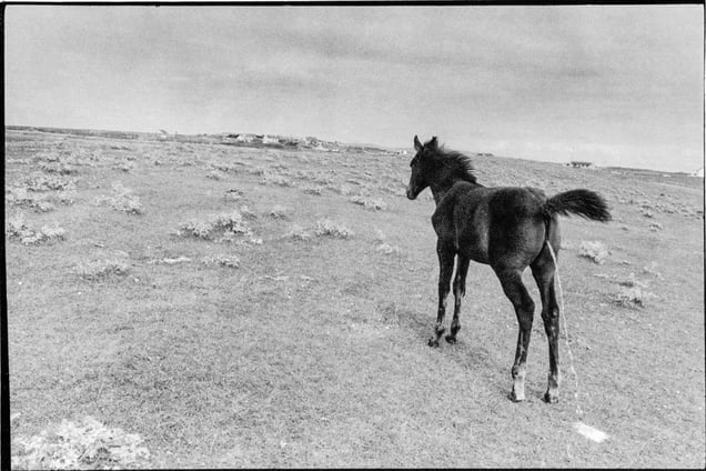 Walk to the Green Rooms, Kilshanig. From the exhibition "Landscapes" © Tom Wood