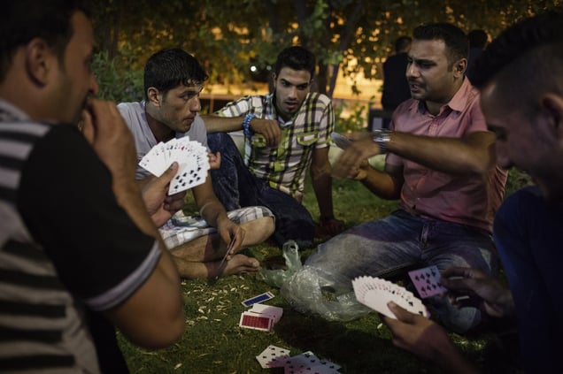 A group of young displaced people from Al Anbar province play cards in a garden at the centre of the bazar where they meet regularly at the end of each day. 29/08/15. Shaqlawa, Iraq.