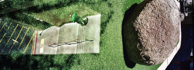 Green Waves of Grass Like the Sea