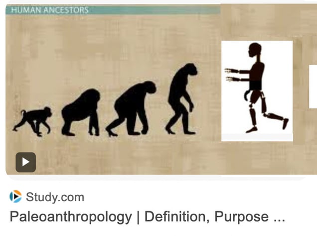 anthropology and AI
