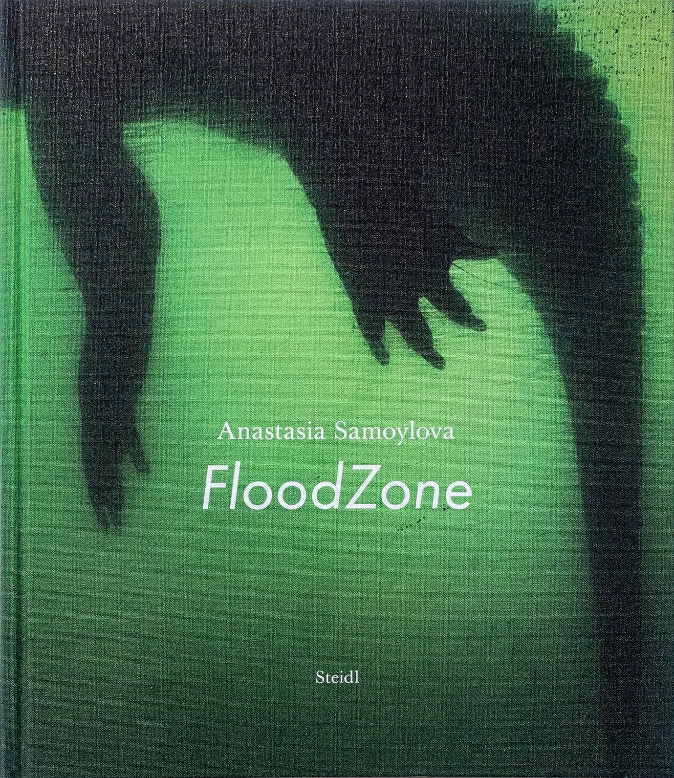 FloodZone