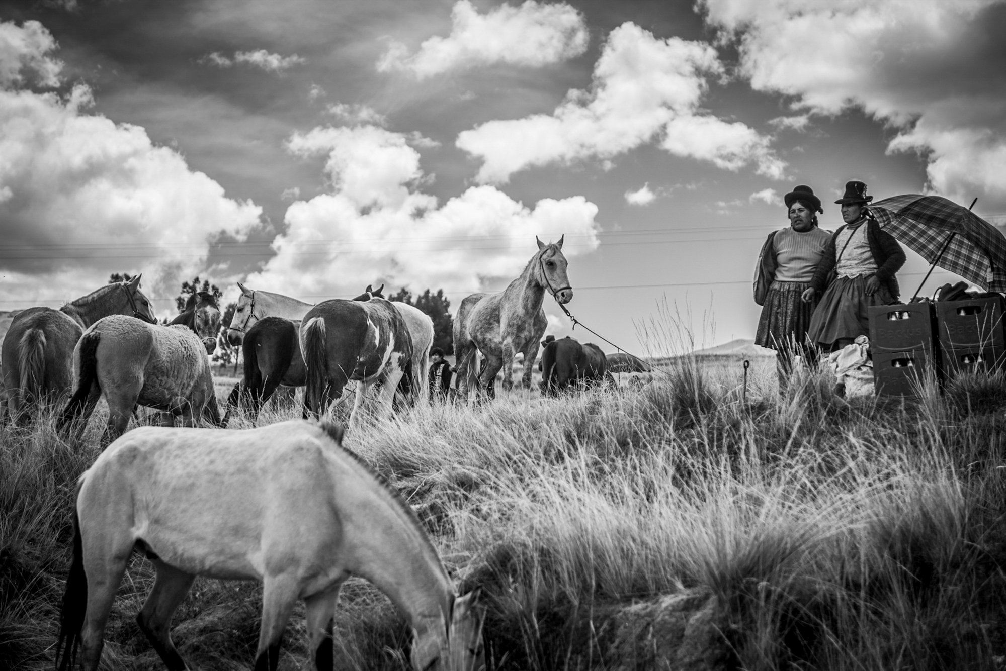 RIDERS OF WIND AND ALTITUDE