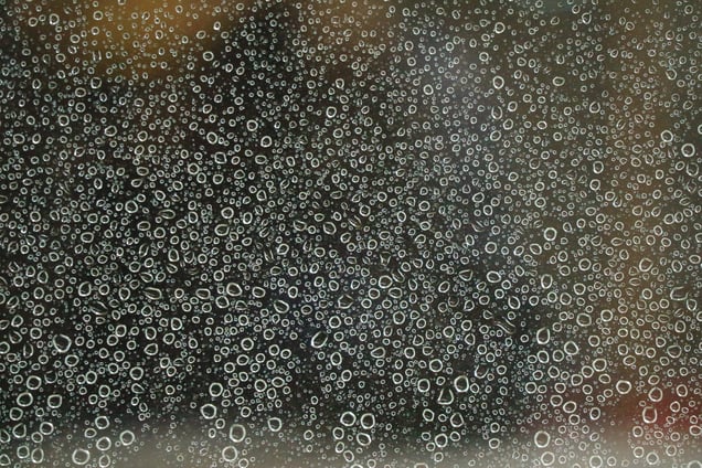 Night Pearls(1)