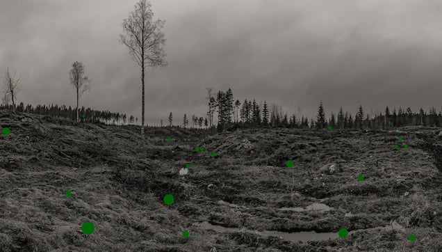 Located Fragments, 2016