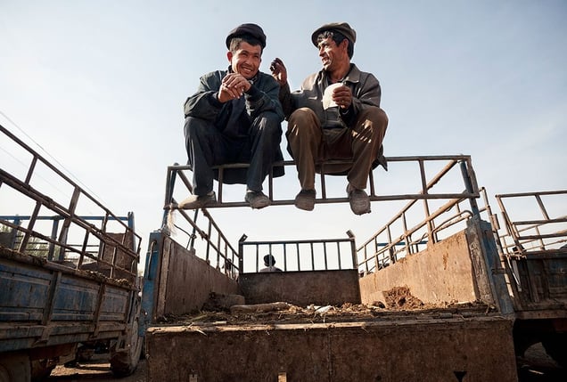 Kashgar, China: Following successful sales at the cattle market the happy men are resting on their lorry. © Matjaz Krivic