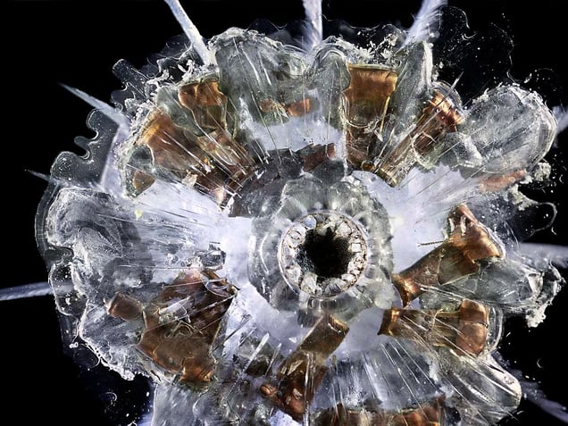 9mm Automatic © Deborah Bay