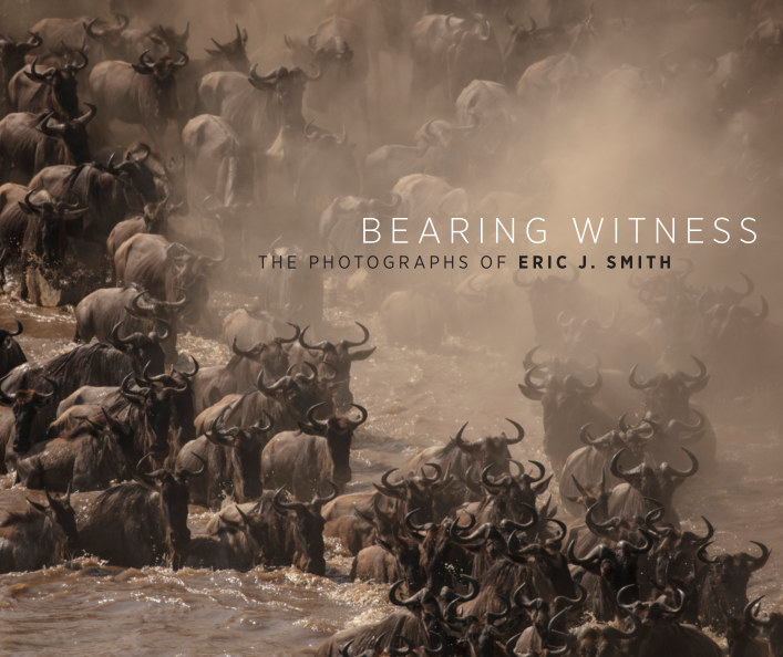 Bearing Witness