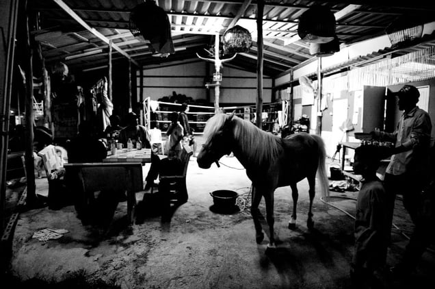 The fighting hall. 15 boys, starting at the age of 6, and one girl are getting boxing lessons. © Sandra Hoyn