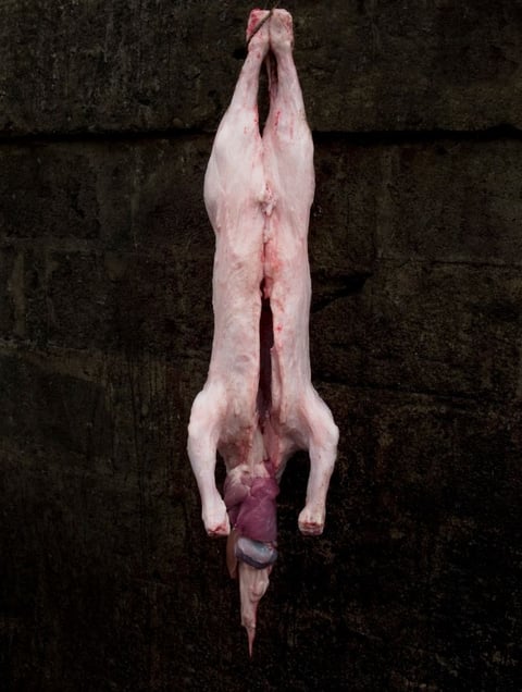 From the series "Meat Portraits" © Alex Van Gelder