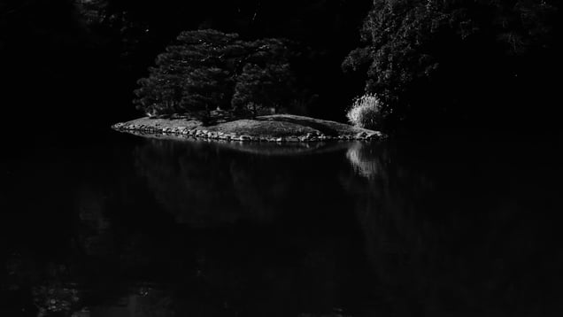 Floating Island