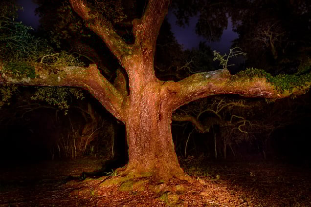 In Darkness Lurkers Lie