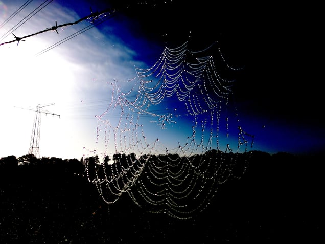 "CHAOTIC COSMIC COMIC BOOKLET" or "INDRA'S NET IS TORN APART" "DAS NETZ DES INDRA WIRD ZERISSEN"