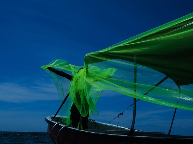 "Speedboat" from the book "El pez muere por la boca / The Fish Dies By Its Mouth."