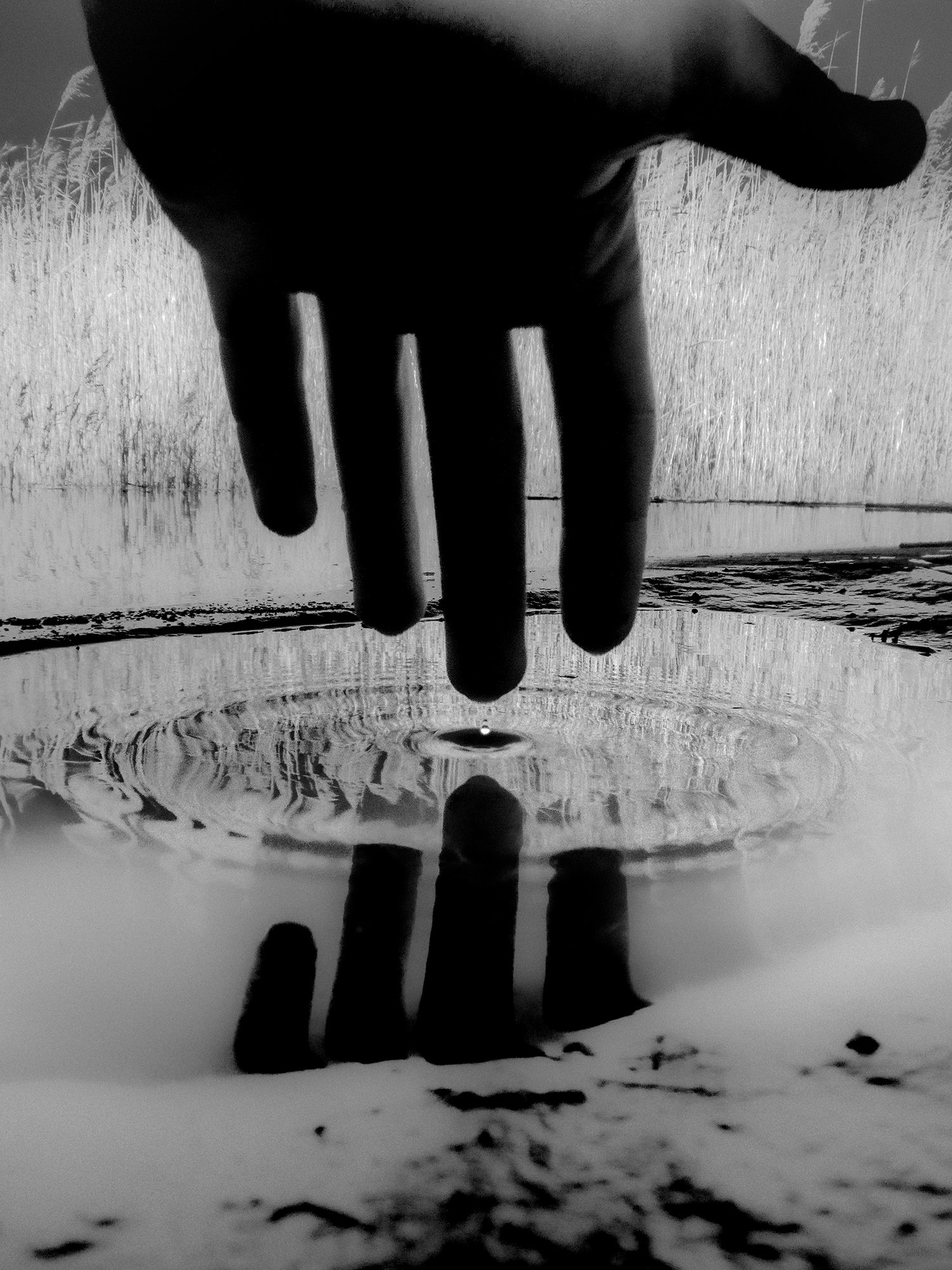 Suspended © Francisco Gonzalez Camacho