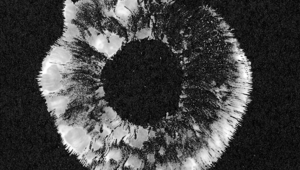 Spore Print