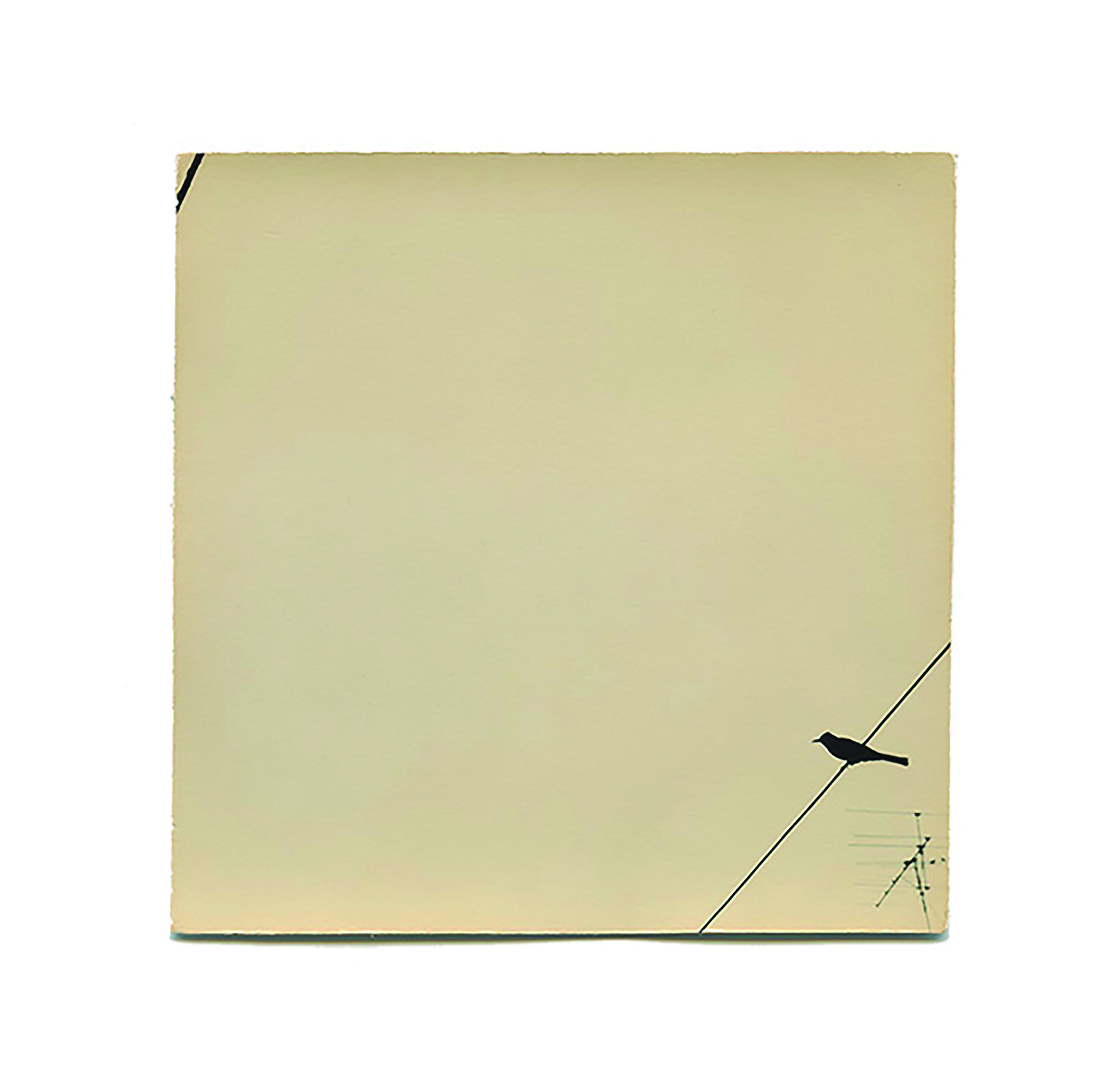 And, where did the peacocks go? — Exhibition at Galerie VU', Paris