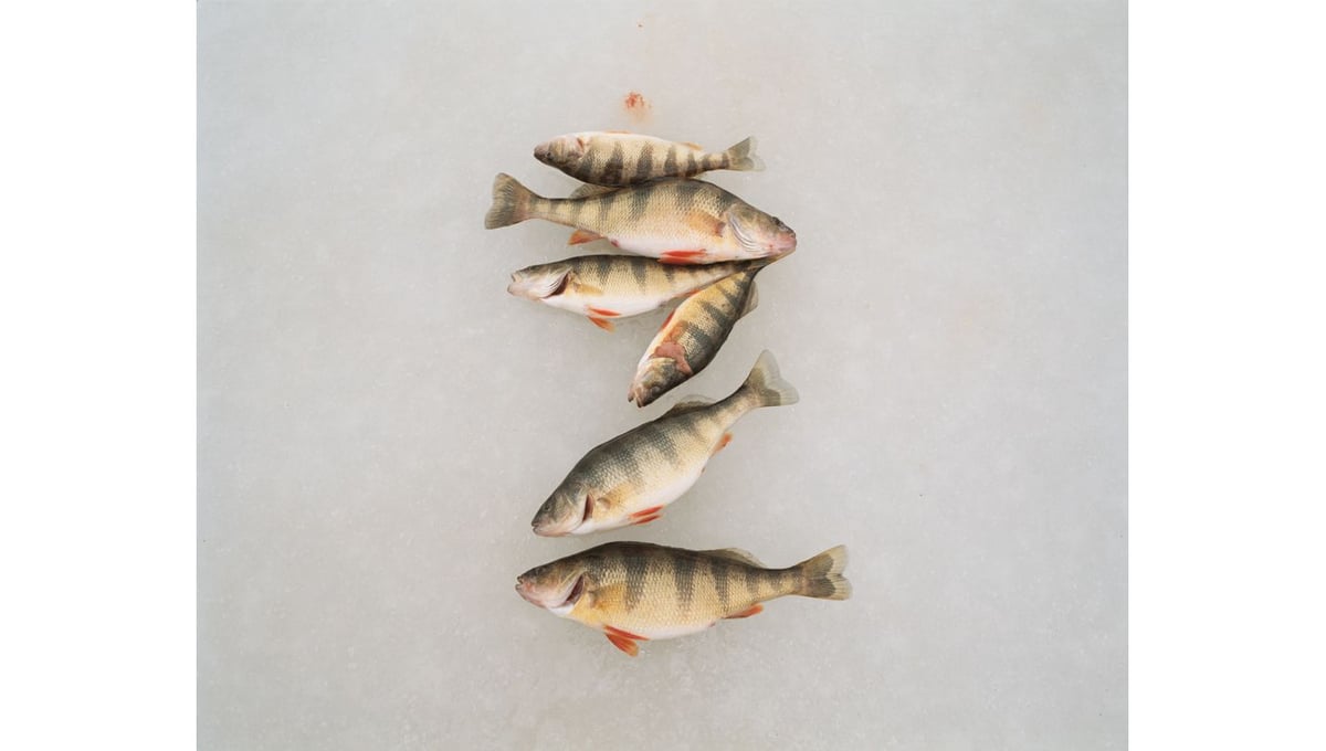 From the series "Between Two Lakes"