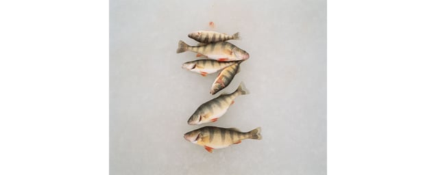 From the series "Between Two Lakes"