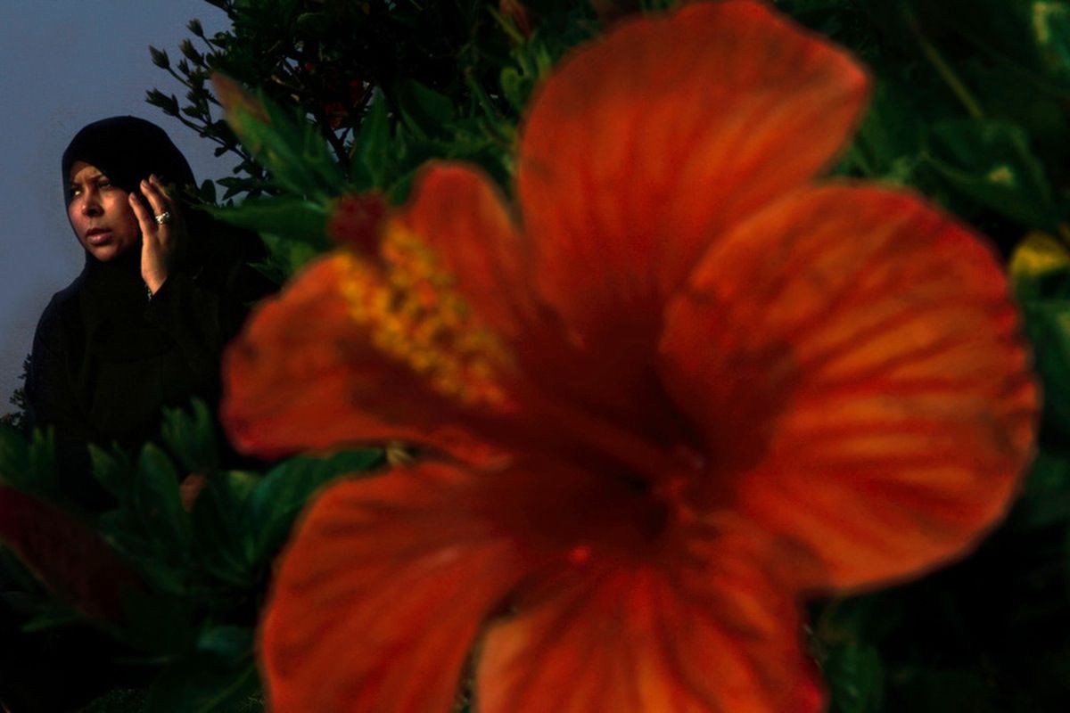 IN THE SHADOW OF THE PYRAMIDS