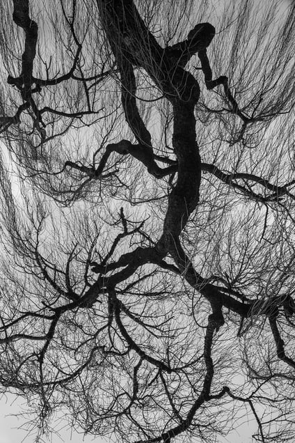 Reaching Out