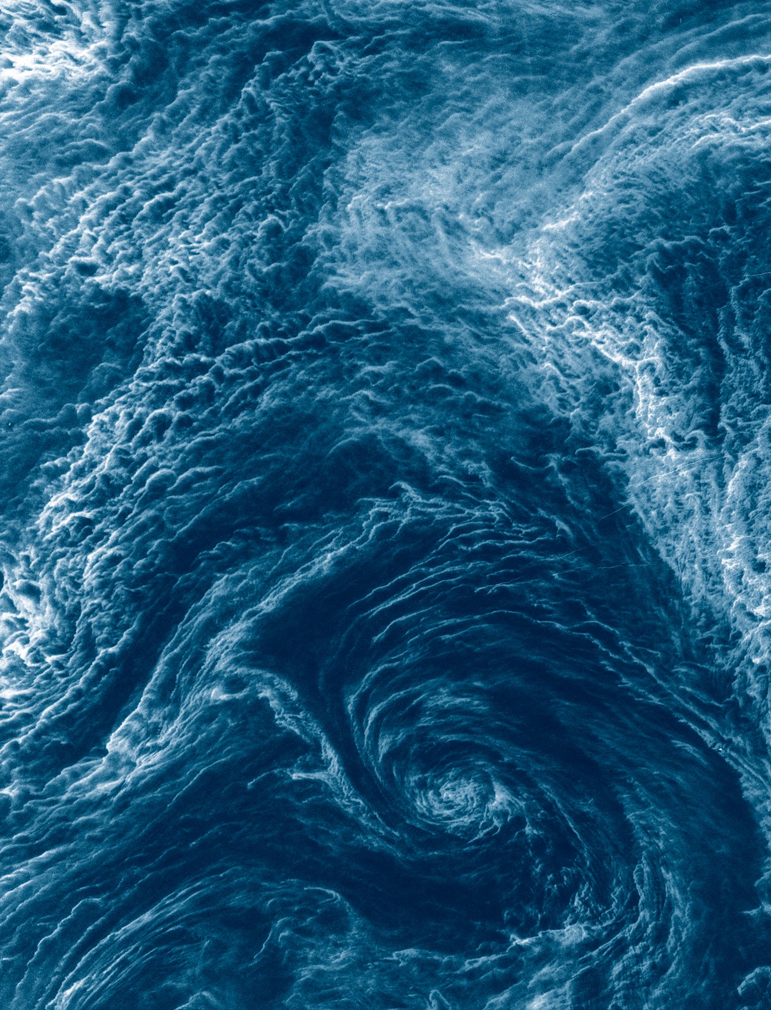 From the book "viridescent, afire" © Małgorzata Stankiewicz