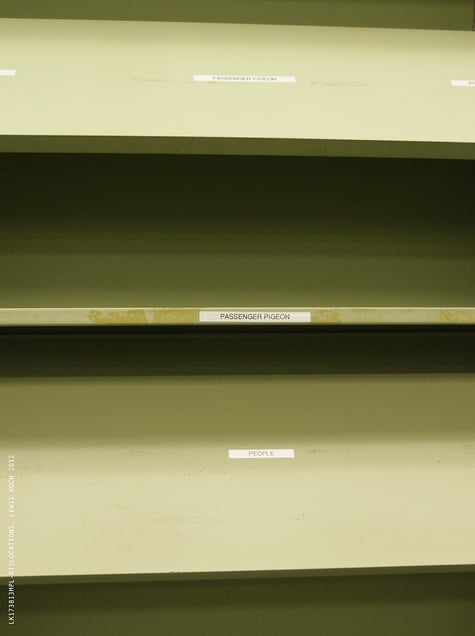 One of '12Dislocations,' in Bookless' installation/event, Madison (WI) Public Library, 2012