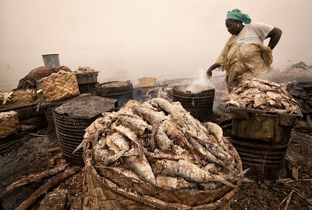St. Louis, Senegal: Fishermen bring tons of fresh fish to the markets every morning. A lot of them are processed in the vicinity of the markets. © Matjaz Krivic