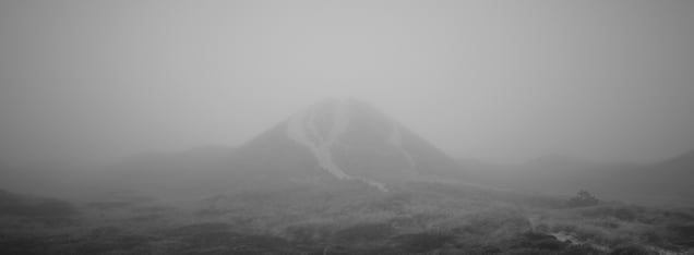Duin⎪Dune (fog)