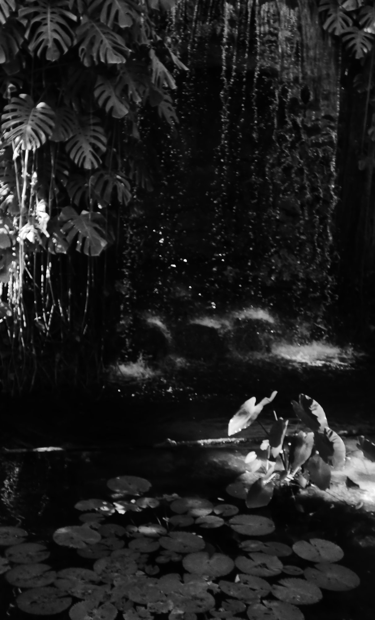 Like a jungle series-5