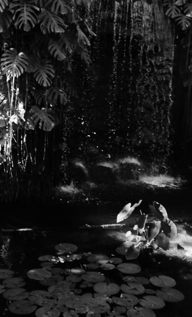 Like a jungle series-5