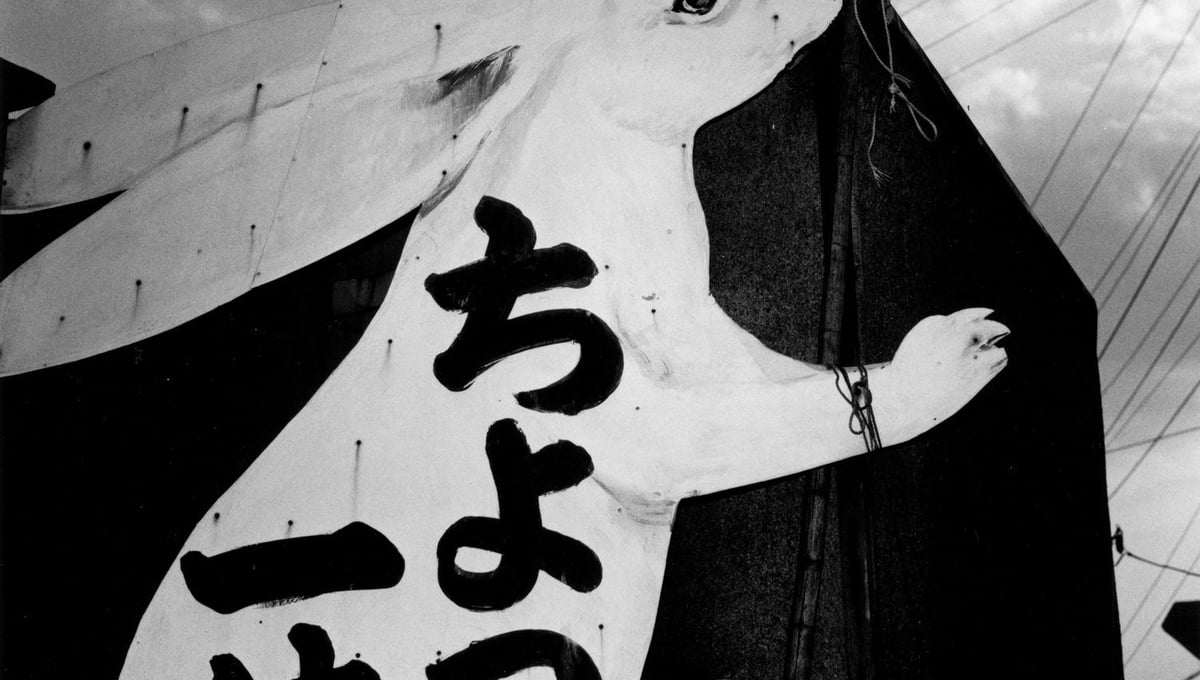 Yao, Osaka