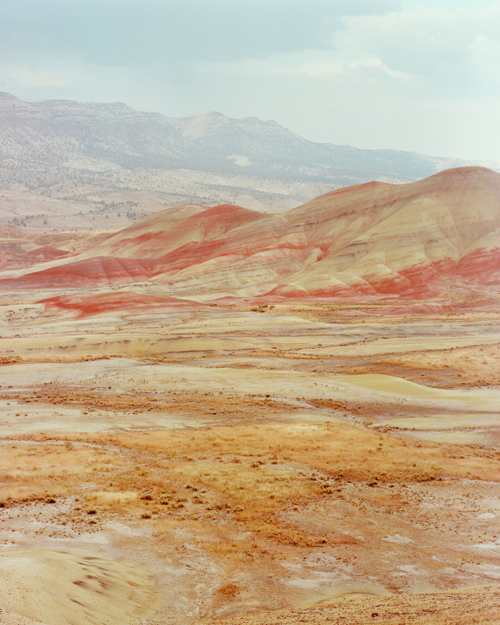 Jonah Reenders Photographs Oregon's Ancient Fungus