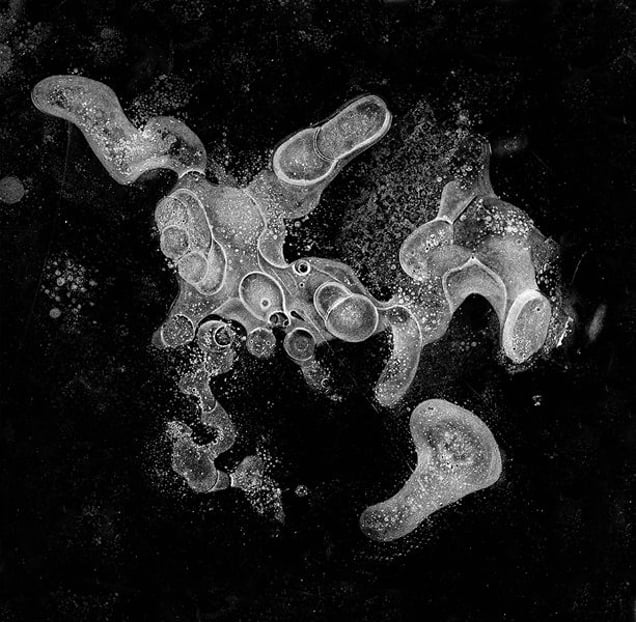 Taurus, from the series, "Hydrology: Visions in Ice" © 2008 Douglas Capron