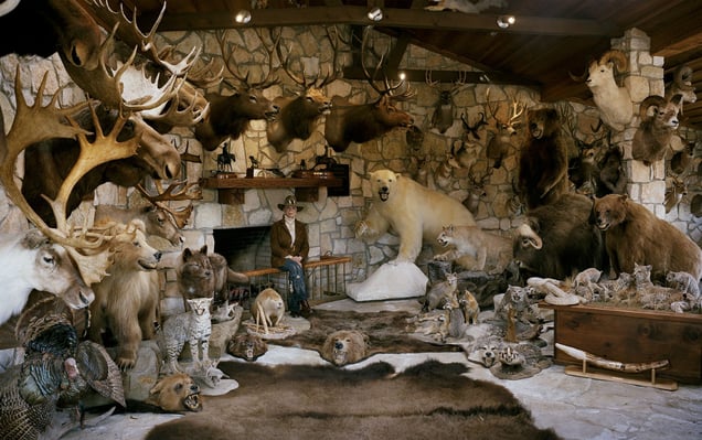 untitled huntress, trophy room # II, dallas, texasrecipient of the Outstanding Hunting Achievement Award-from the series 'hunters'-David Chancellor